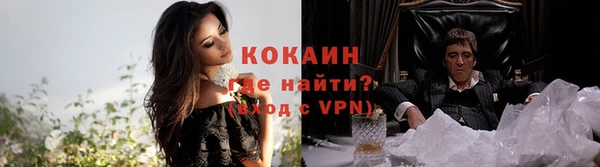 индика Верхний Тагил