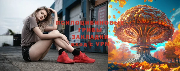 амф Бородино