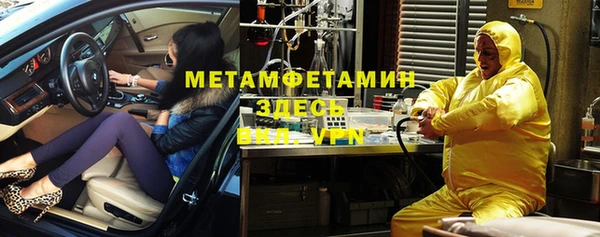 индика Верхний Тагил