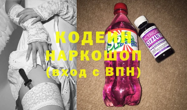 индика Верхний Тагил