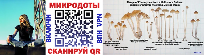 Псилоцибиновые грибы ЛСД omg онион Дубовка